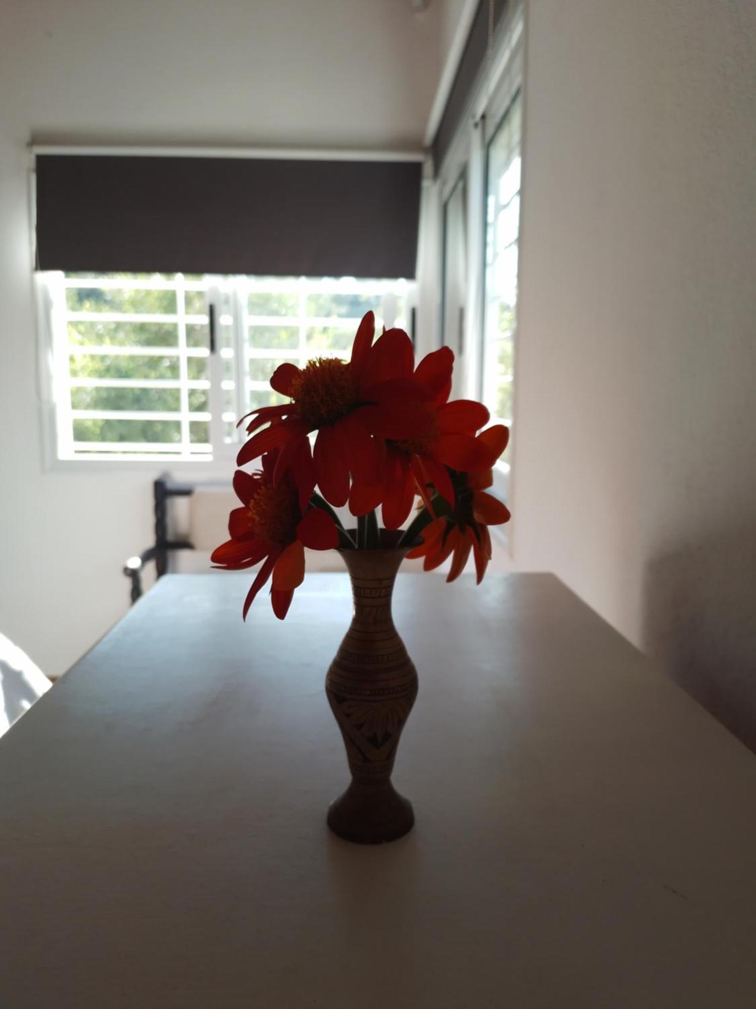 Holiday home Ecovalle *